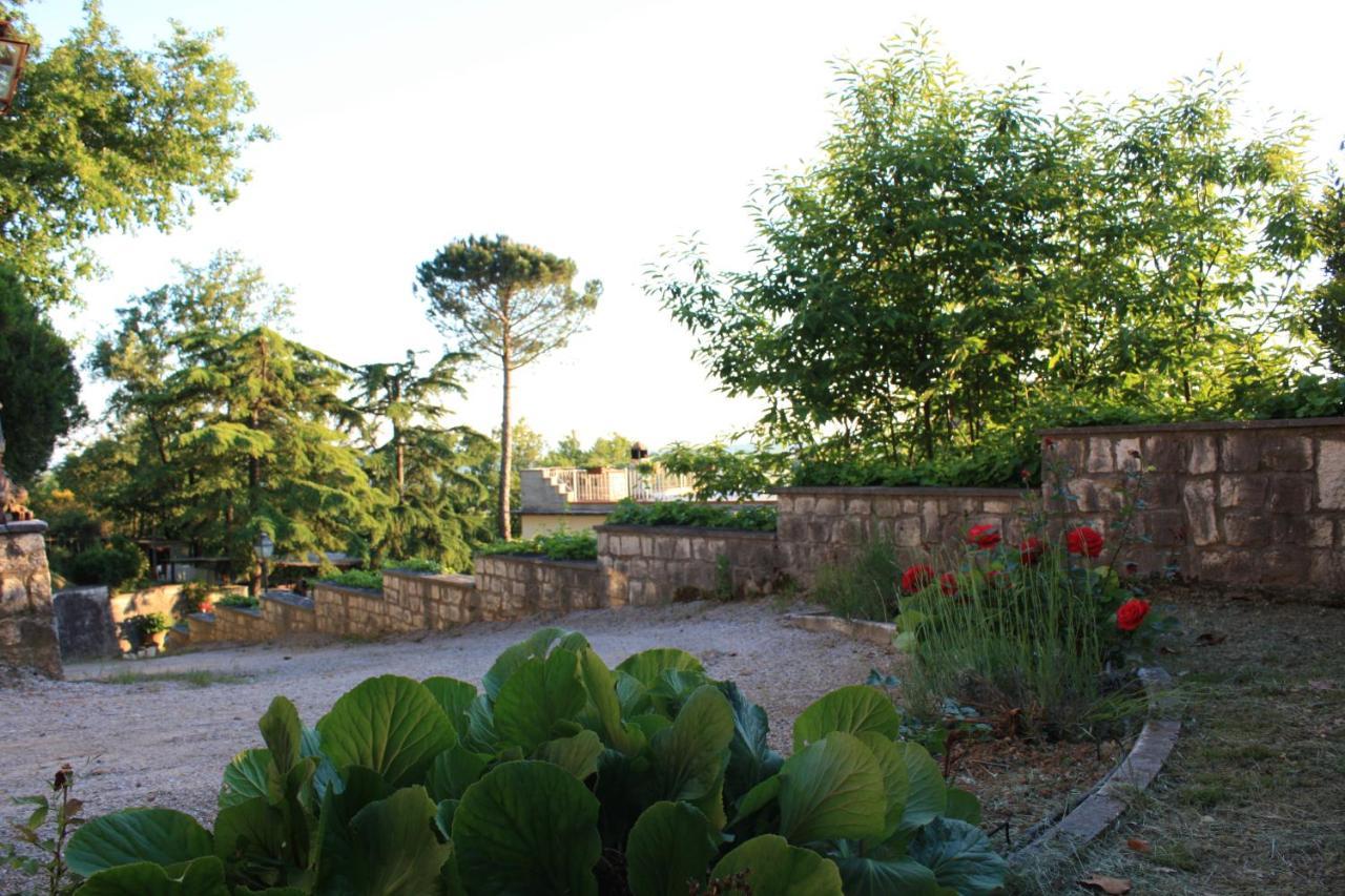 Casa Titty Apartment Serre Di Rapolano ภายนอก รูปภาพ
